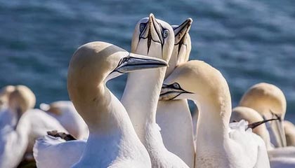 义乌最新的高价医保个人账户余额微信查询方法分享(义乌医保查询个人账户明细怎么查微信教程)