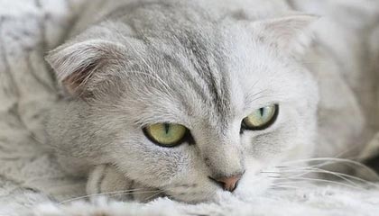 义乌最新的高价医保卡惠民保险代扣怎么取消掉了方法分享(义乌惠民医保怎么报销教程)