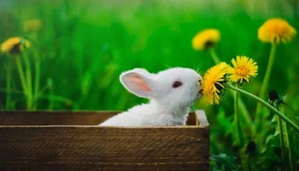 义乌最新的高价医保个人账户余额微信查询方法分享(义乌医保查询个人账户明细怎么查微信教程)